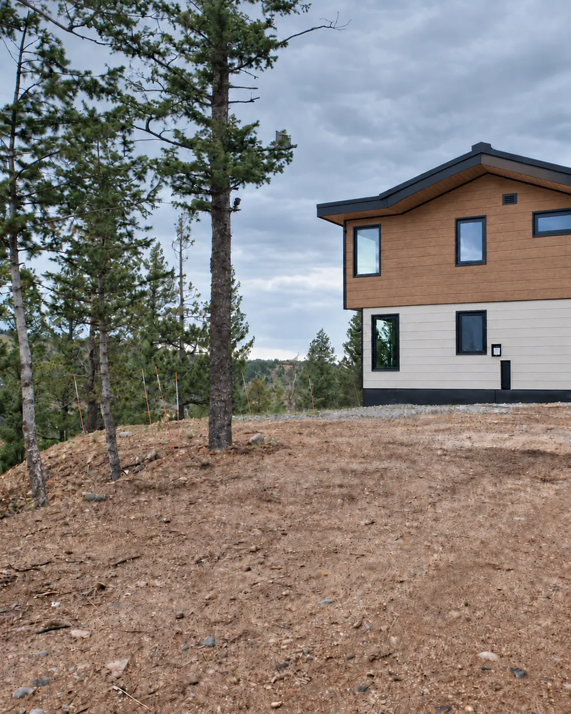 House on a cleared hillside, with thinned pine trees and bare ground between it and the surrounding forest.